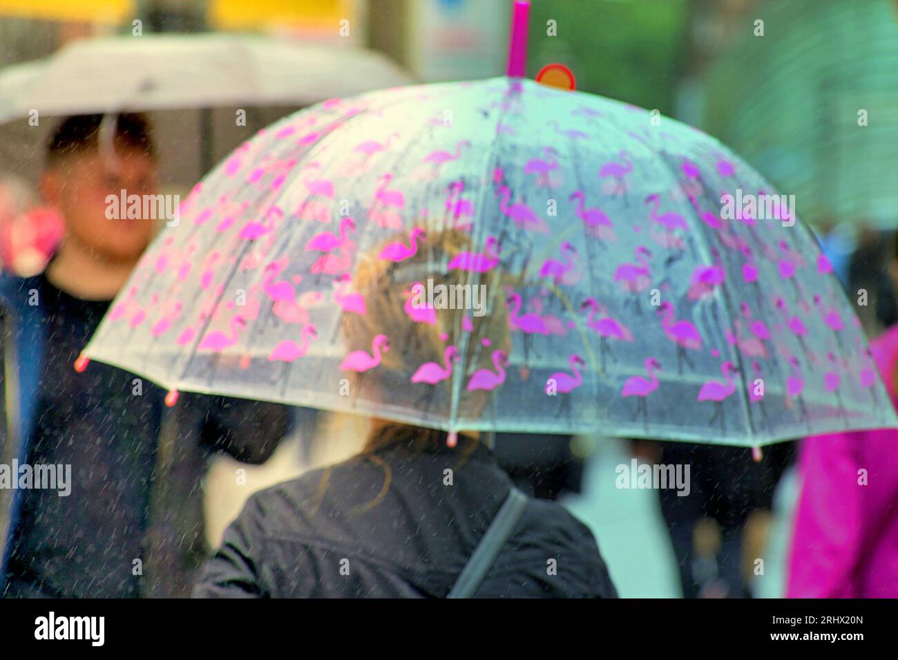 Glasgow, Schottland, Großbritannien. August 2023. Wetter in Großbritannien: Regnerisches Regenschirmwetter in der Stadt sah Einheimische und Touristen auf den Straßen der Stadt als Sturm betty in der Stadt auftaucht. Credit Gerard Ferry/Alamy Live News Stockfoto