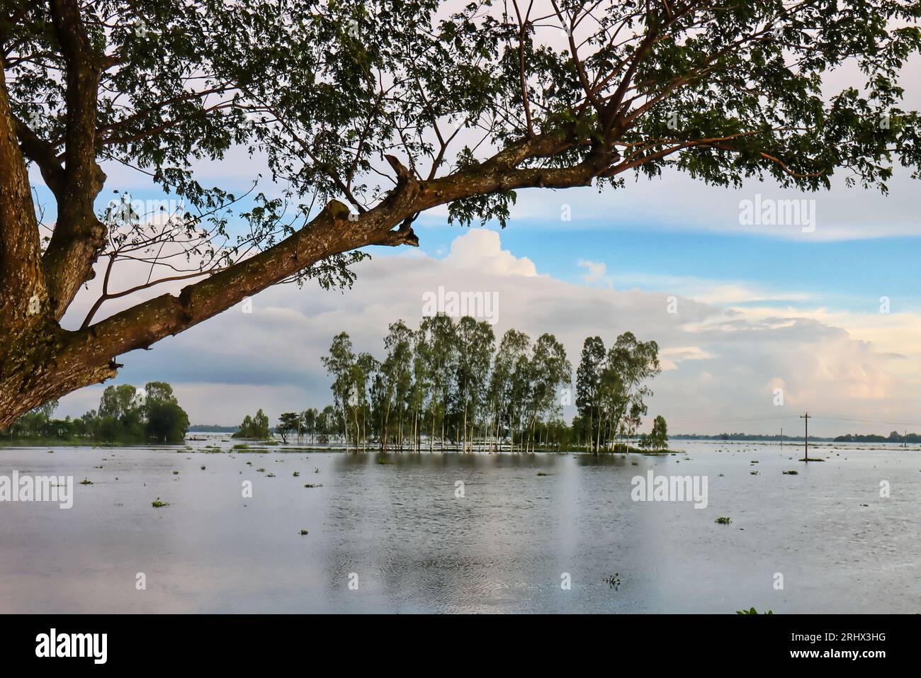 Niederland eines ländlichen Gebiets, das zur Monsunzeit mit Regenwasser gefüllt ist Stockfoto