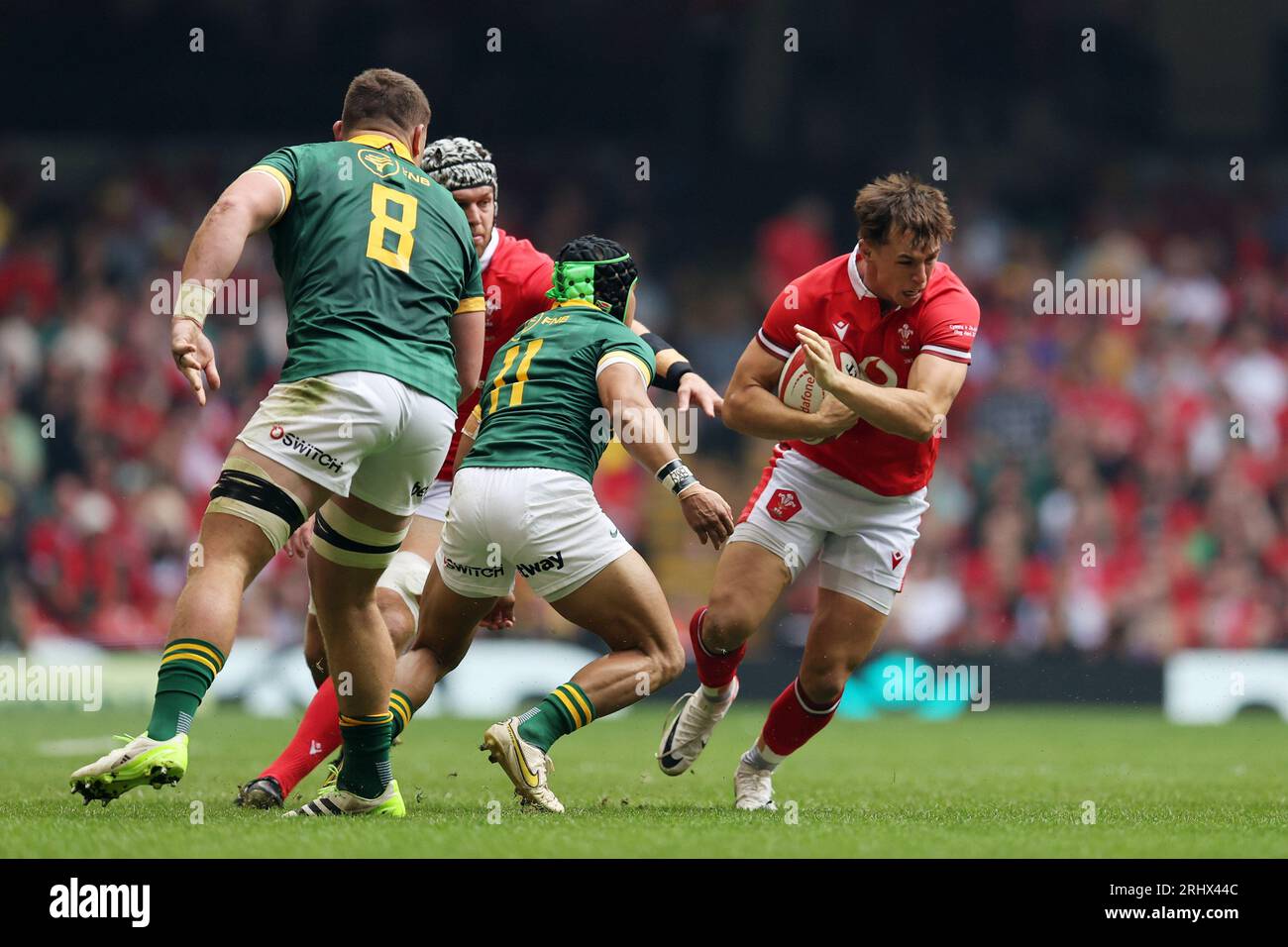 Cardiff, Großbritannien. August 2023. Tom Rogers aus Wales macht eine Pause. Vodafone Summer Series 2023 Match, Wales gegen Südafrika im Principality Stadium in Cardiff am Samstag, den 19. August 2023. pic by Andrew Orchard/Andrew Orchard Sports Photography/Alamy Live News Credit: Andrew Orchard Sports Photography/Alamy Live News Stockfoto