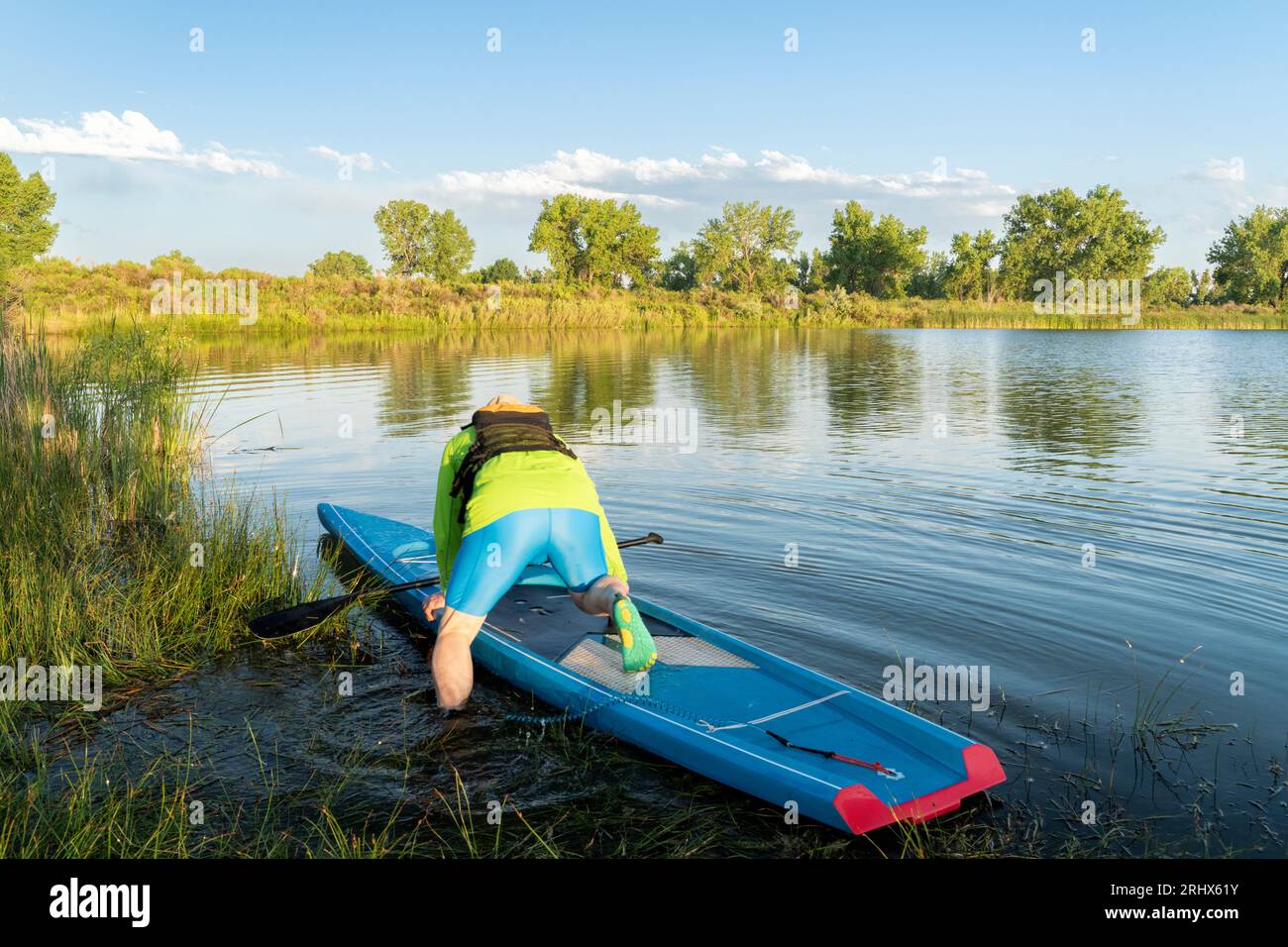 Der männliche Stand-up-Paddler startet sein Paddleboard an einem grasbewachsenen Seeufer, in der Sommerlandschaft von Colorado Stockfoto