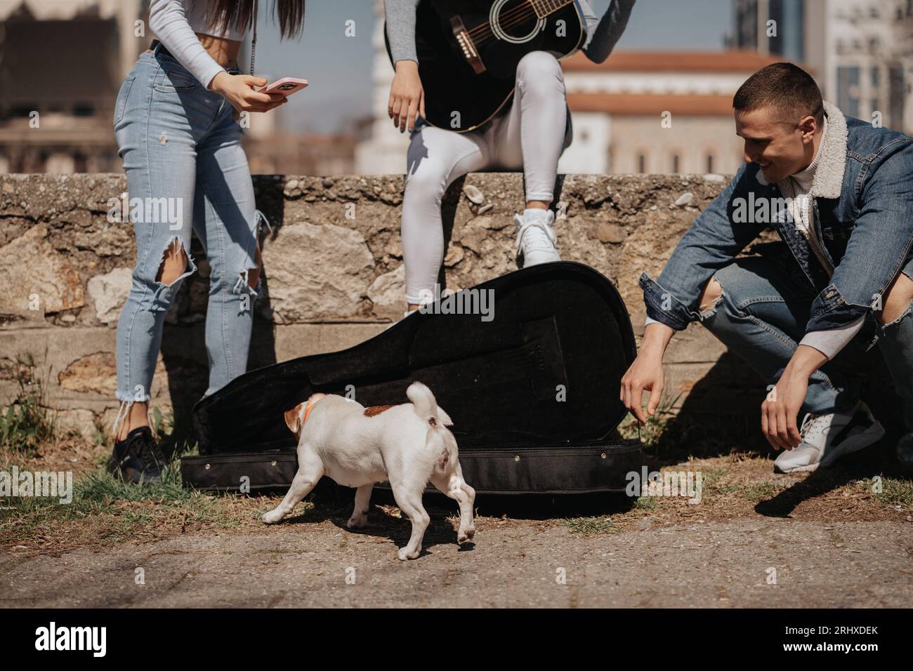 Drei Freunde haben Spaß mit dem kleinen Hund im Park Stockfoto