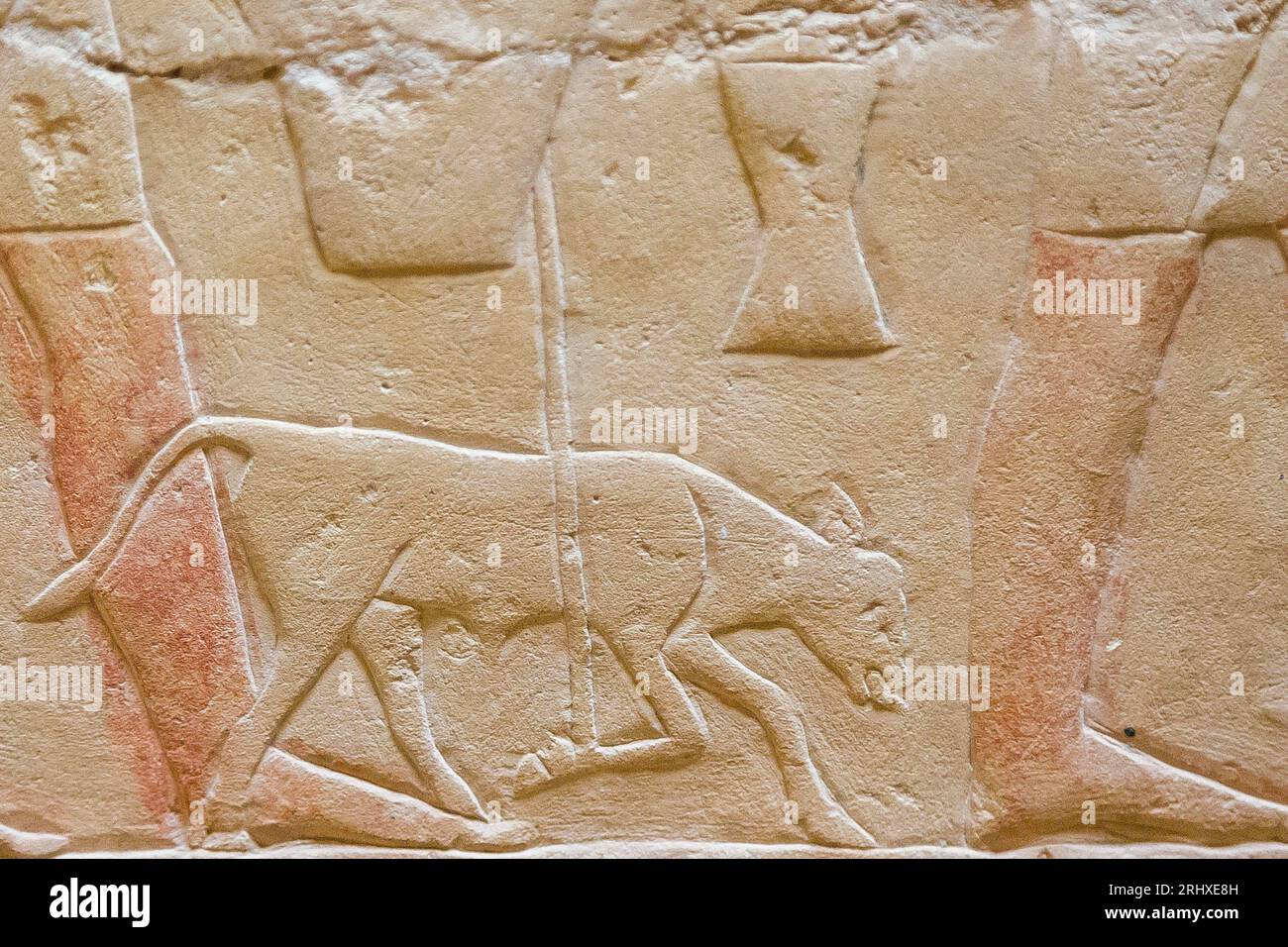 Ägypten, Sakkara, Grab von Ankhmahor, Prozession der Darbietenden Bringer. Wade. Stockfoto