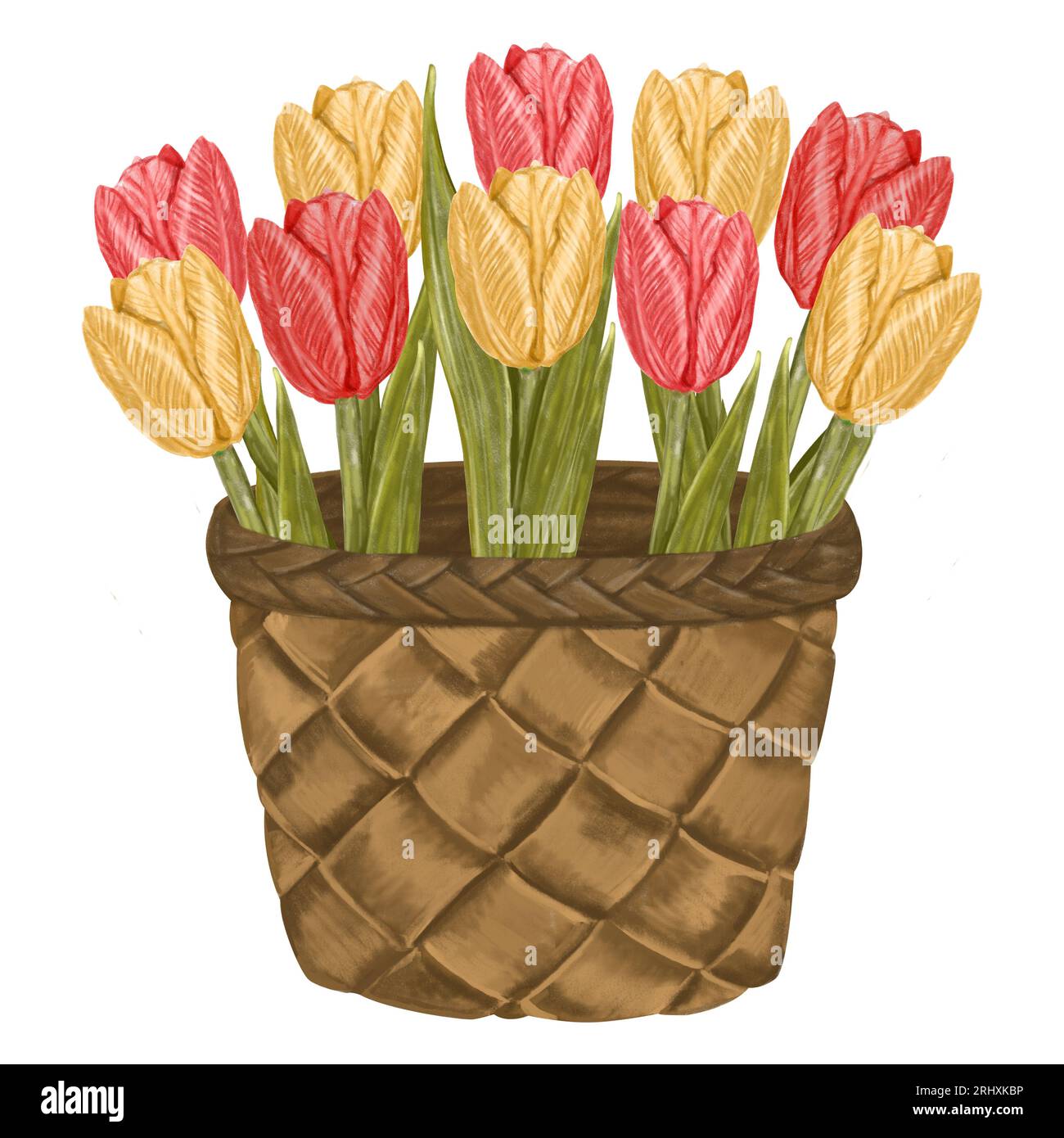 Aquarellkorb mit Tulpen gelb und rosa. Blumenanordnung isoliert Hand gezeichnete Illustration im Landhausstil. Für Grußkarten, Einladungen usw. Stockfoto