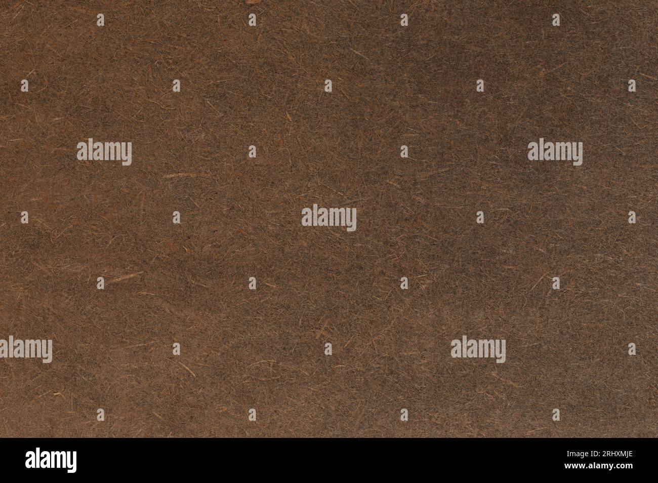 Struktur des Rückenmaterials Leder Makro Nahansicht Stockfoto