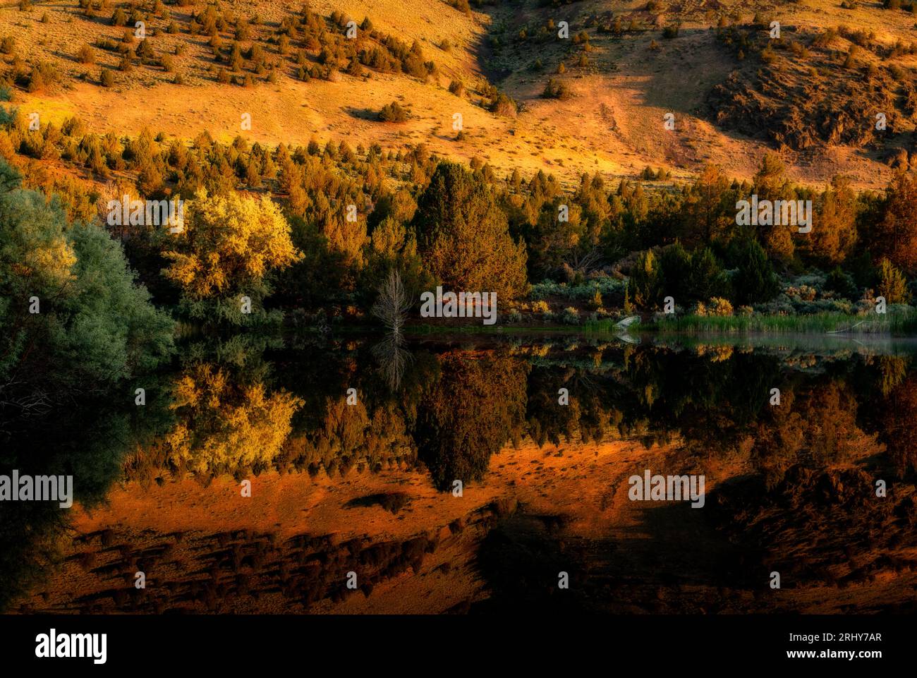Der Teich in der Summer Lake Lodge spiegelt die umliegenden Hügel wider, während er von der aufgehenden Sonne beleuchtet wird. Stockfoto