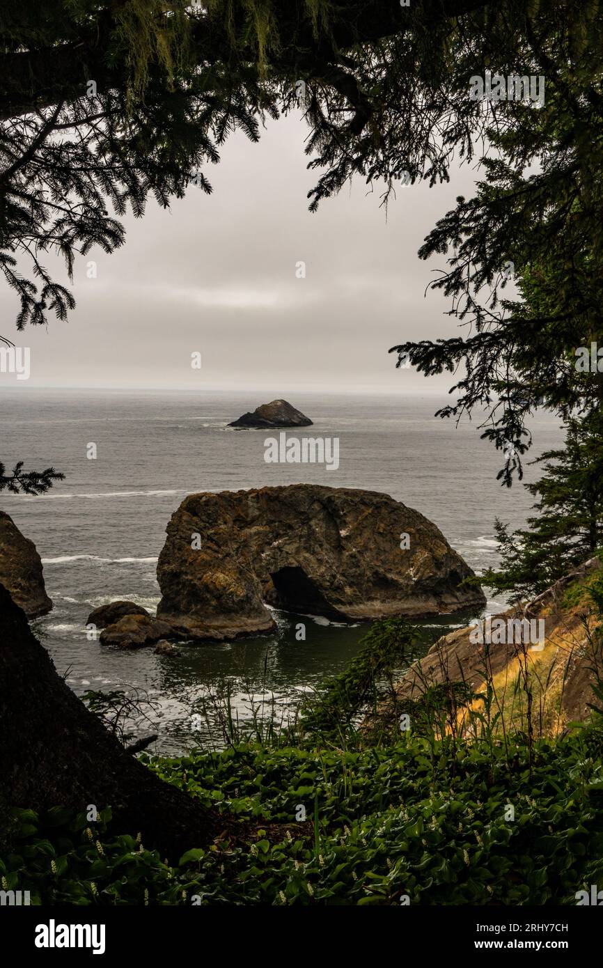 Arch Rock im Samuel Boardman State Park in Oregon Stockfoto