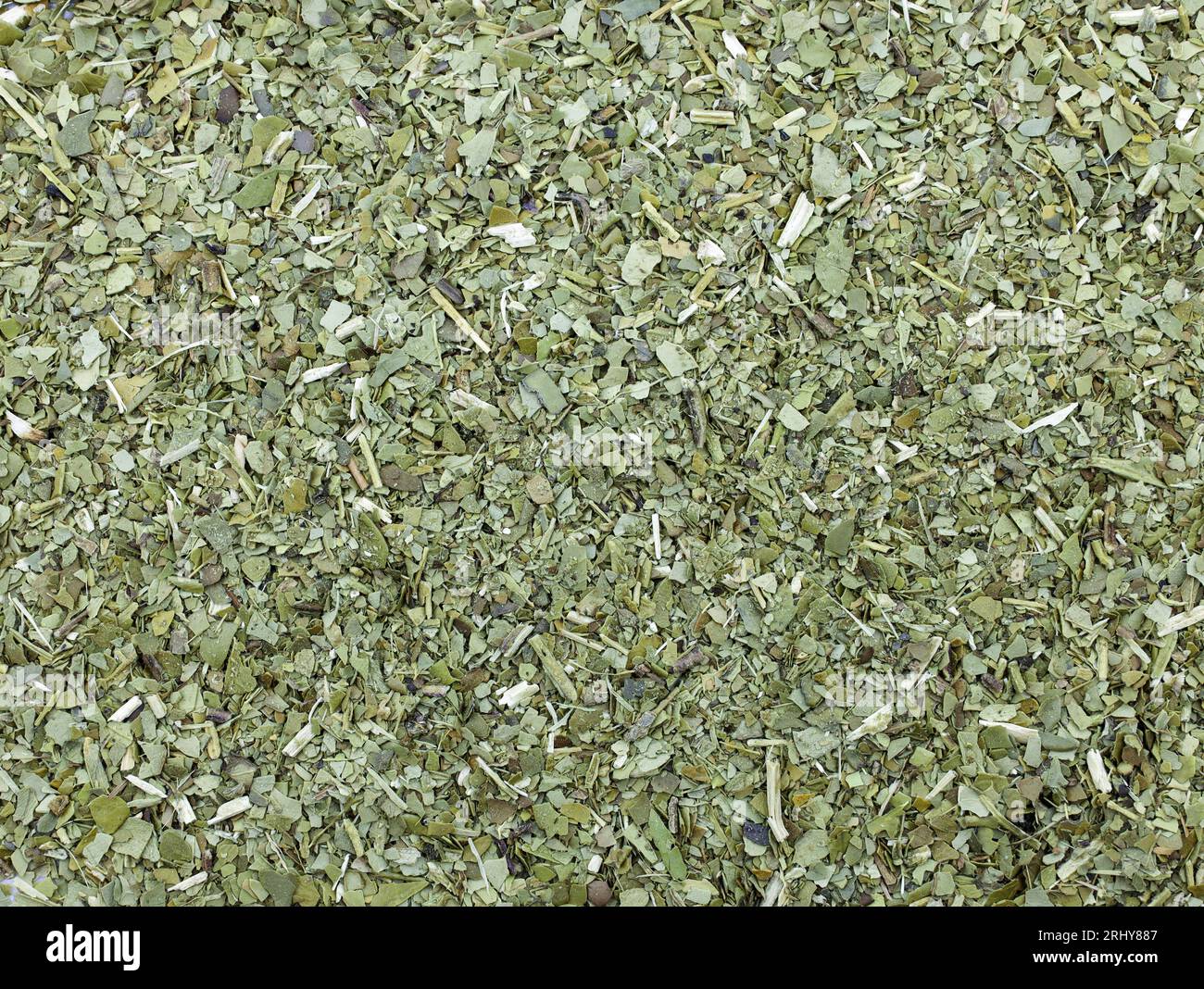 Paraguay stechpalme -Fotos und -Bildmaterial in hoher Auflsung  Alamy