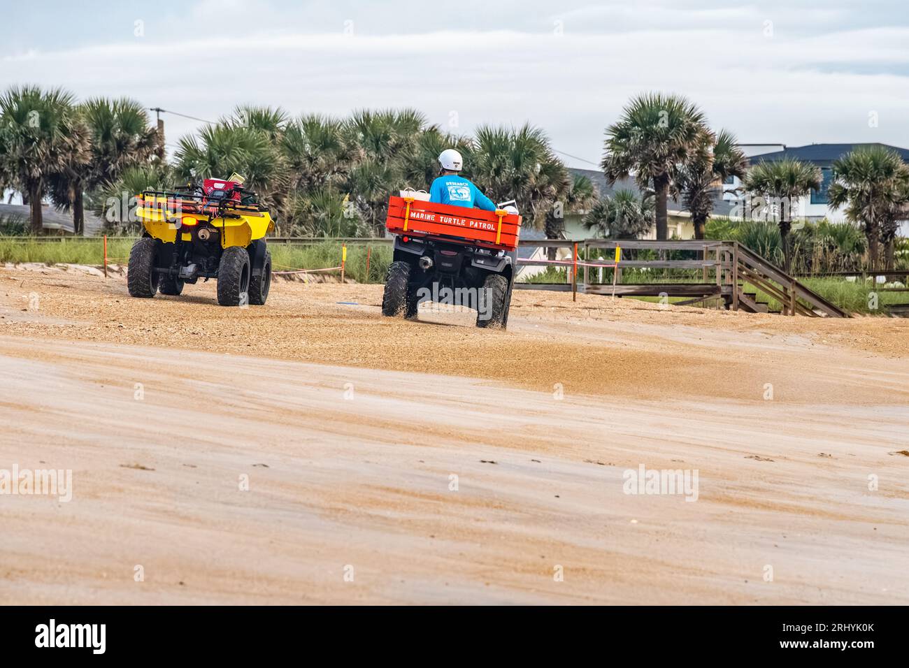 Marine Turtle Patrol-Freiwillige überprüfen die Nester von Meeresschildkröten in South Ponte Vedra Beach, Florida, für das GTM Research Reserve. (USA) Stockfoto