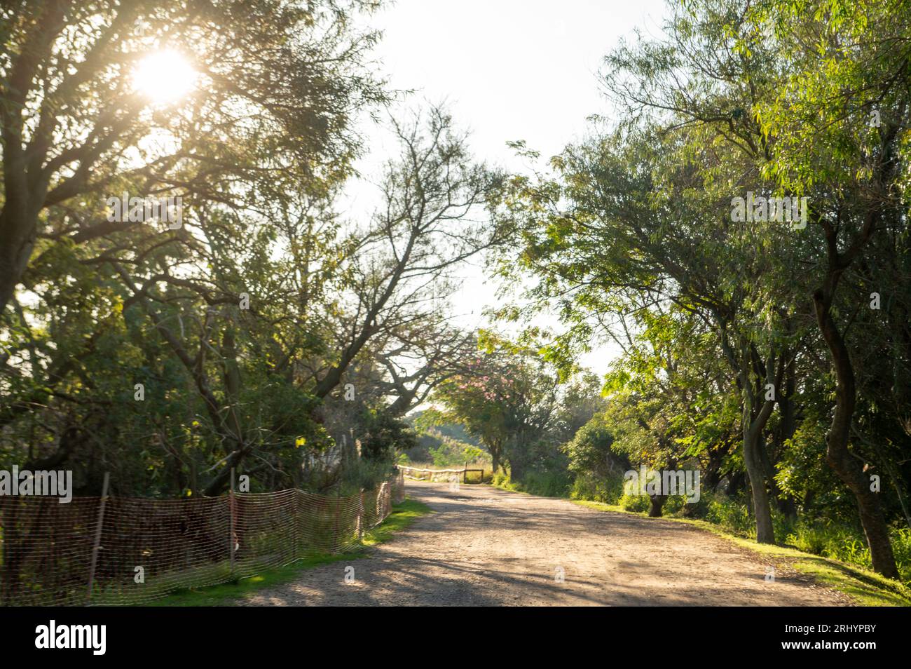 Sonniger Tag im Naturschutzgebiet Costanera Sur in Buenos Aires, der Hauptstadt der Argentinischen Republik im Jahr 2023. Stockfoto