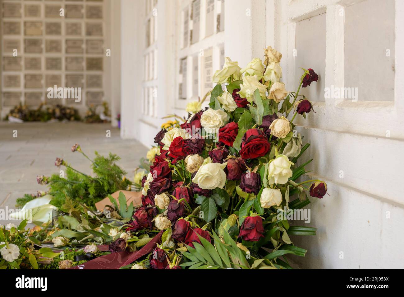 Rosen vor einer Urnenwand gelegt Stockfoto