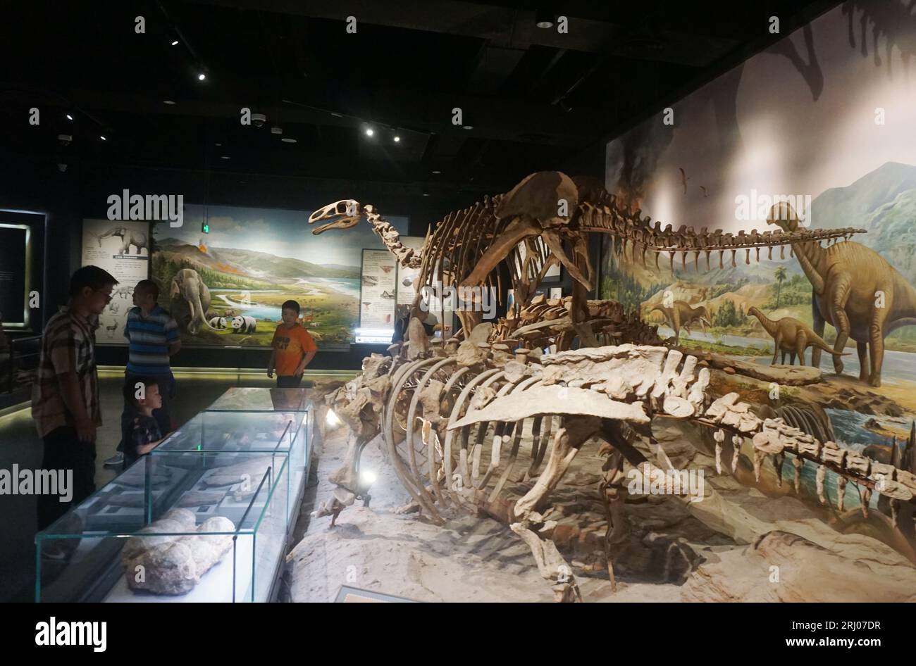 Hangzhou, Chian. August 2023. HANGZHOU, CHINA - 20. AUGUST 2023 - Besucher und Eltern schauen sich Dinosaurierknochen im geologischen Museum der Provinz Zhejiang in Hangzhou, Provinz Zhejiang, China, 20. August 2023 an. (Foto von Costfoto/NurPhoto) Credit: NurPhoto SRL/Alamy Live News Stockfoto