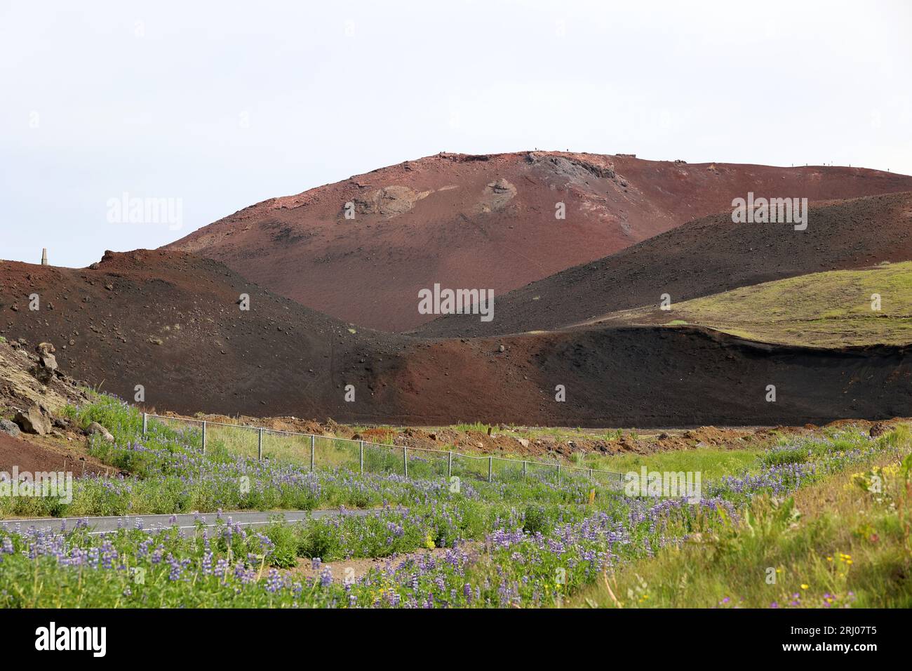 Eldfell-Vulkan auf der Insel Heimaey-Vestmannaeyjar-Westman-Inseln- Island Stockfoto