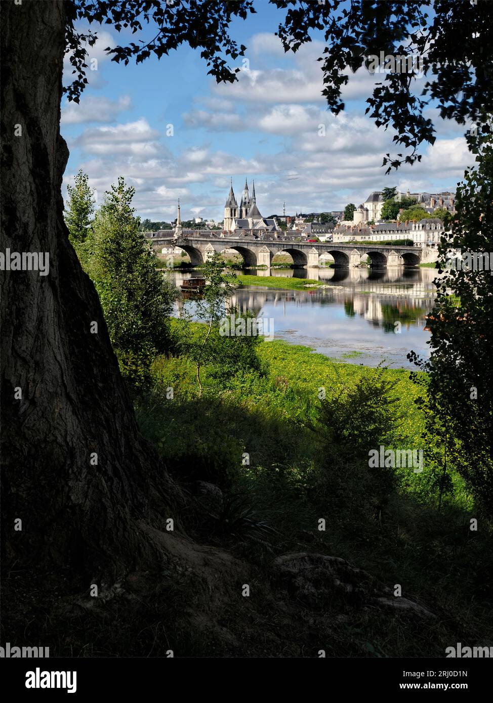 Brücke Jacques-Gabriel über die Loire und St. Nikolaus Kirche in Blois hinter den Blättern eines Baumes gesehen Stockfoto