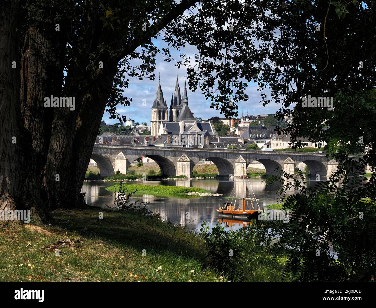Brücke Jacques-Gabriel über die Loire und St. Nikolaus Kirche in Blois hinter den Blättern eines Baumes gesehen Stockfoto