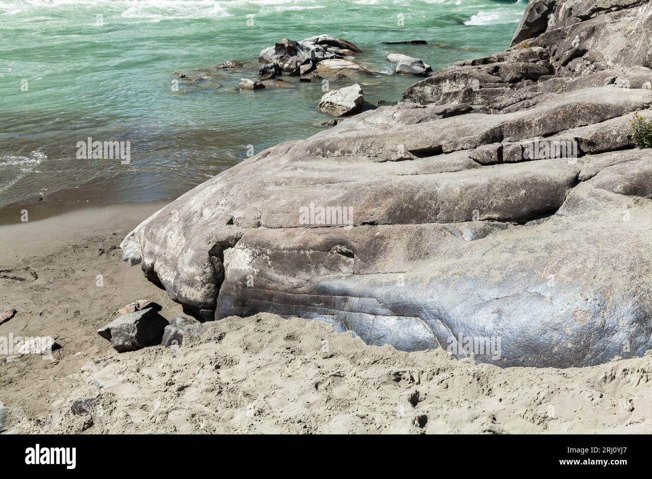 Graue Felsen an der Küste des Katun-Flusses. Republik Altai, Russland Stockfoto