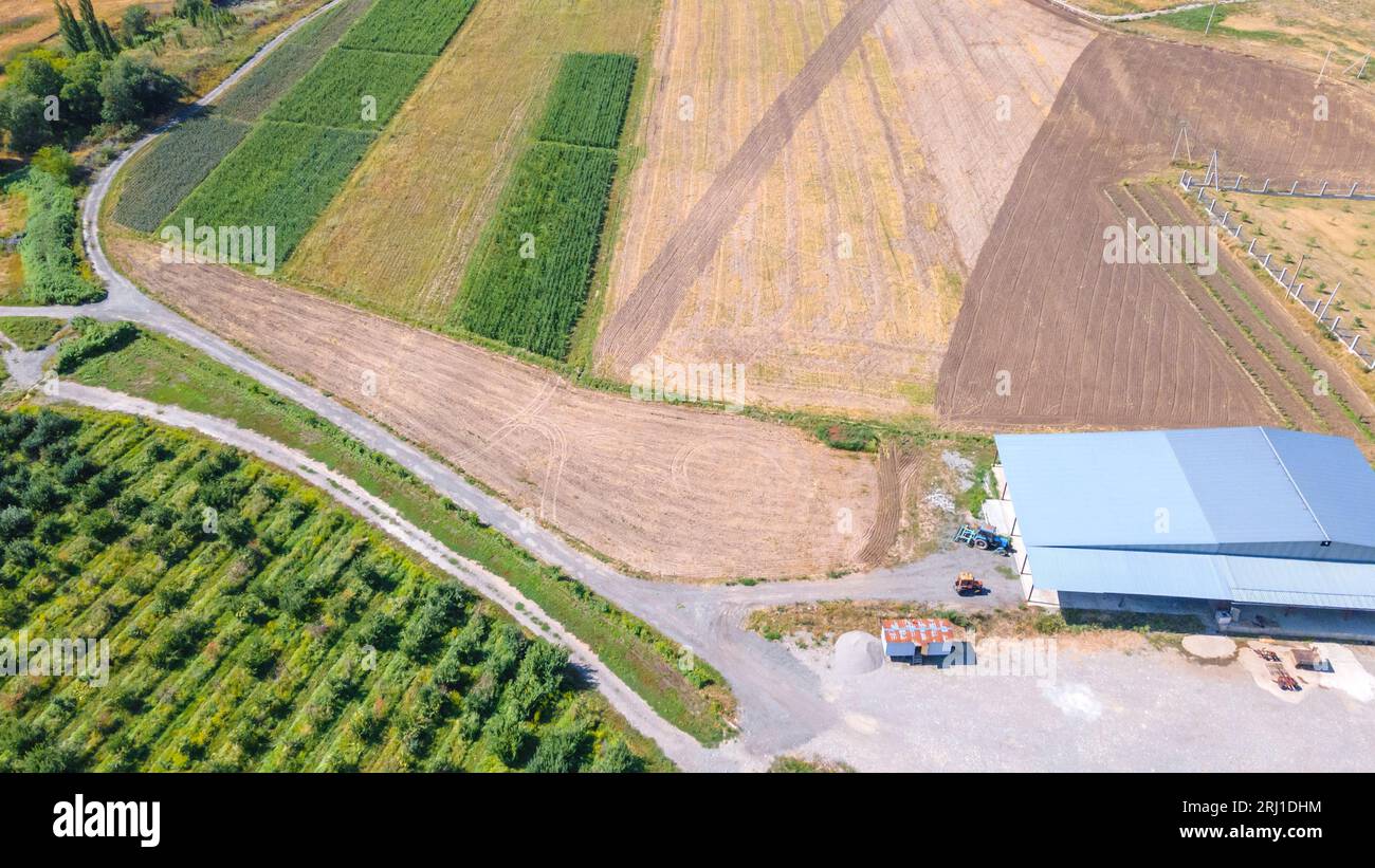 Ein Hangar neben landwirtschaftlichen Feldern. Blick von einer Drohne. Agrarwirtschaft Stockfoto