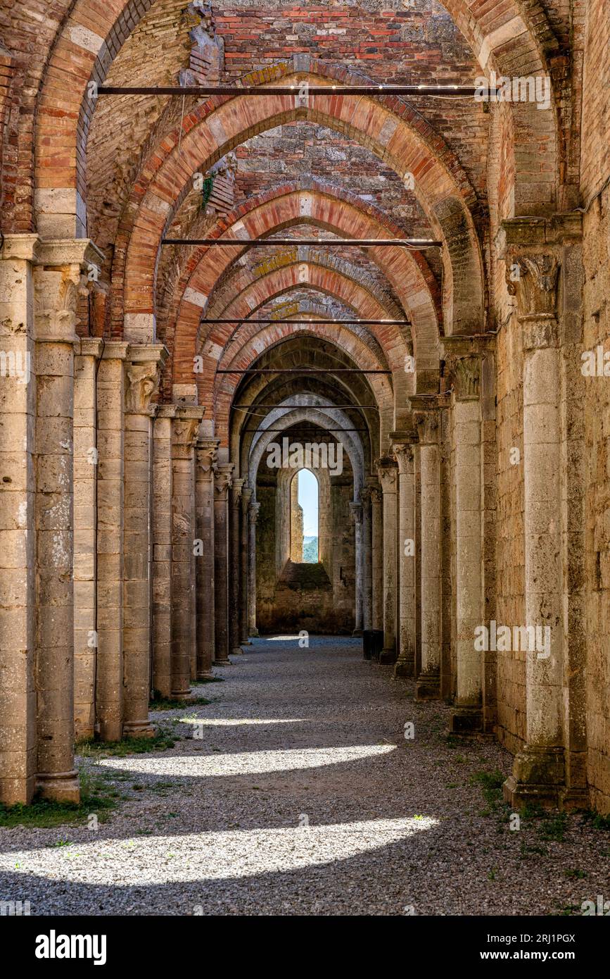 Malerische Perspektive von der Abtei San Galgano in der Nähe von Chiusdino, Provinz Pisa, Toskana, Italien. Stockfoto