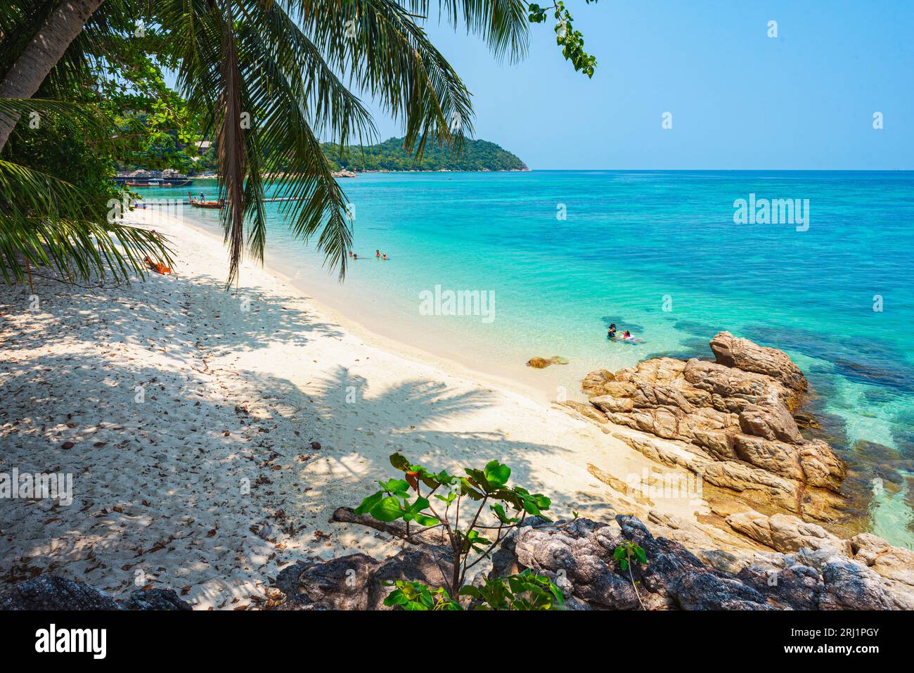 Palmen über dem Sand des Sunset Beach in Ko Lipe, Thailand. April Stockfoto