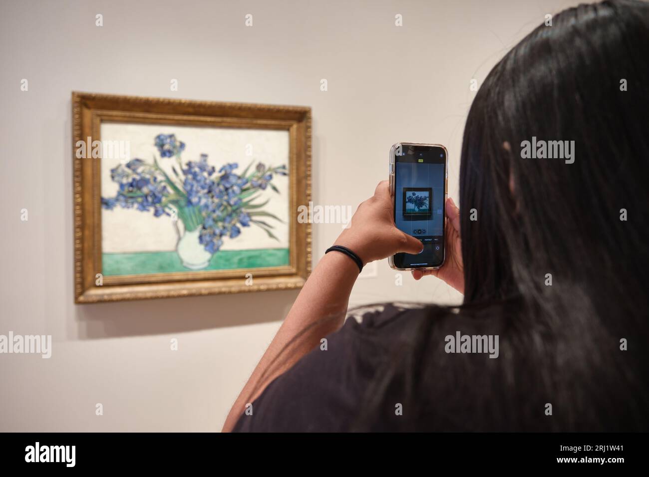 Person, die Kunst im MOMA Irises von Vincent van Gogh 1890 NYC New York City sieht Stockfoto