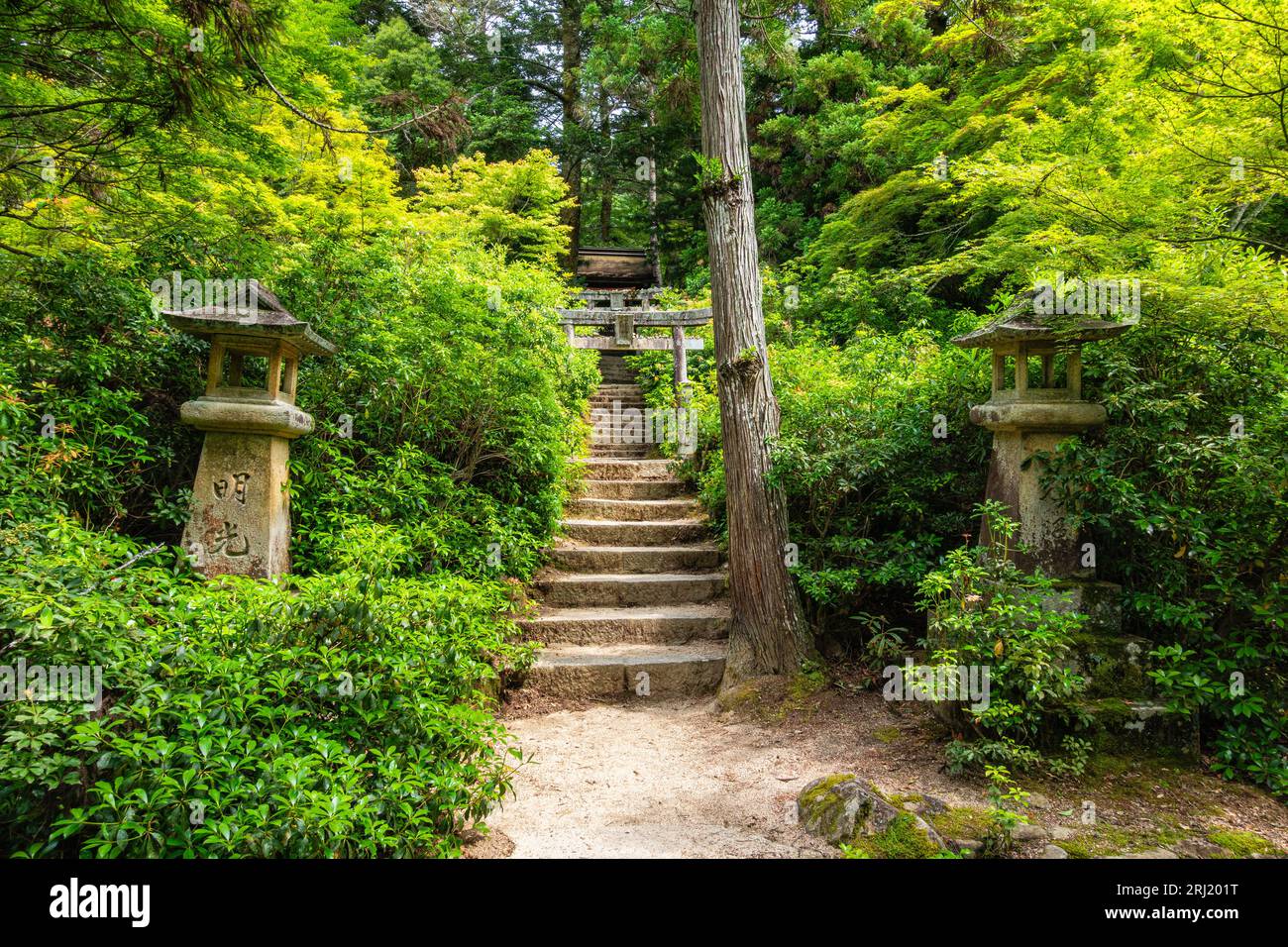 Malerischer Anblick im Momijidani Park in Miyajima (Itsukushima), Hiroshima, Japan. Stockfoto