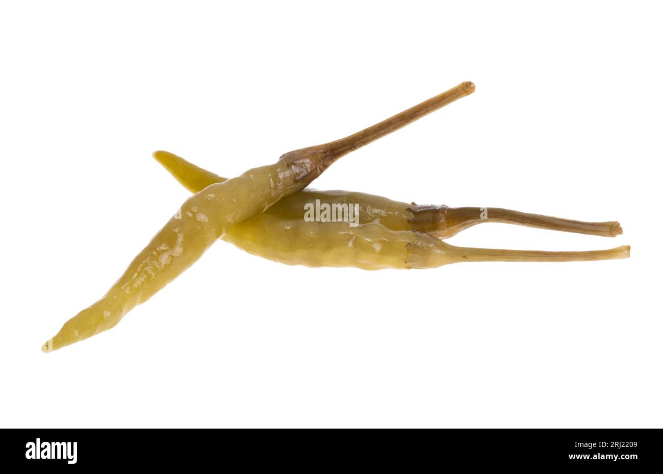 Grüner eingelegter Pfeffer isoliert auf weißem Hintergrund Stockfoto