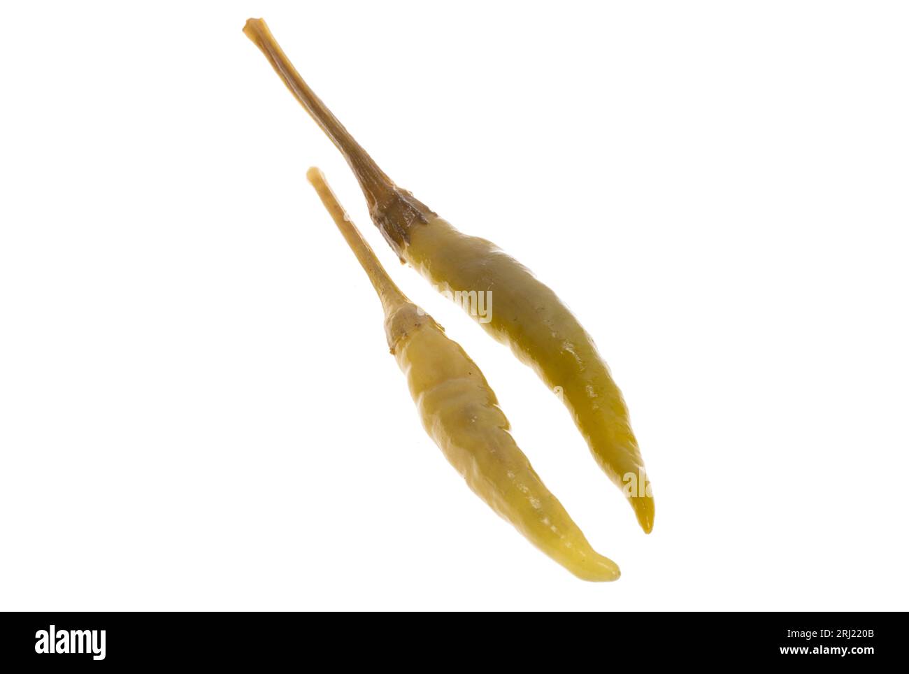 Grüner eingelegter Pfeffer isoliert auf weißem Hintergrund Stockfoto