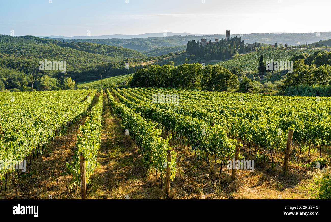 Das wunderschöne Kloster Badia a Passignano in der Chianti-Region. Provinz Florenz, Toskana, Italien. Stockfoto