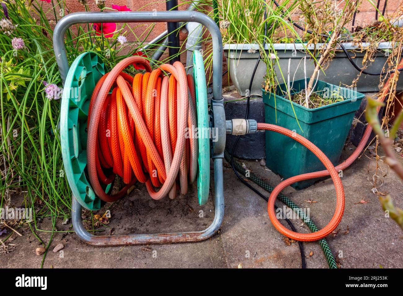 Eine alte, verwitterte Suche Schlauch auf einer Rolle auf dem Boden vor einer Wand in einem Garten auf der Rückseite. Stockfoto