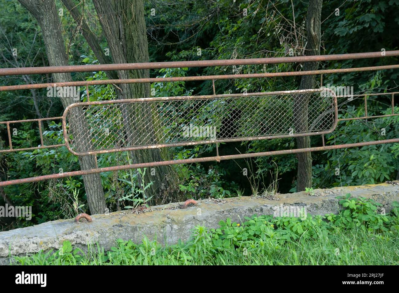 Ein alter rostiger Zaun auf einem Betonsockel in den grünen Wäldern Stockfoto