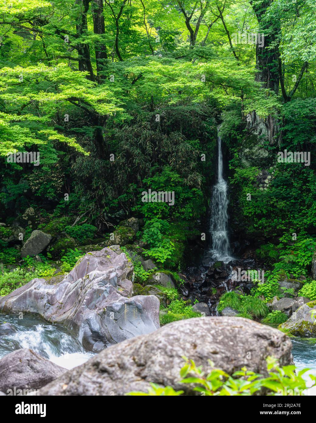 Malerischer Anblick im berühmten Kanmangafuchi Abgrund in Nikko. Präfektur Tochigi, Japan. Stockfoto