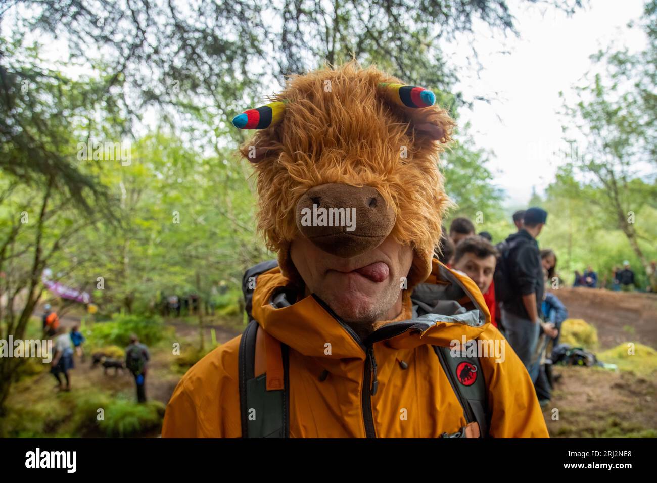 Ein Mann zieht komisches Gesicht in schickem Kleid Hochland-Kuhhhut Stockfoto