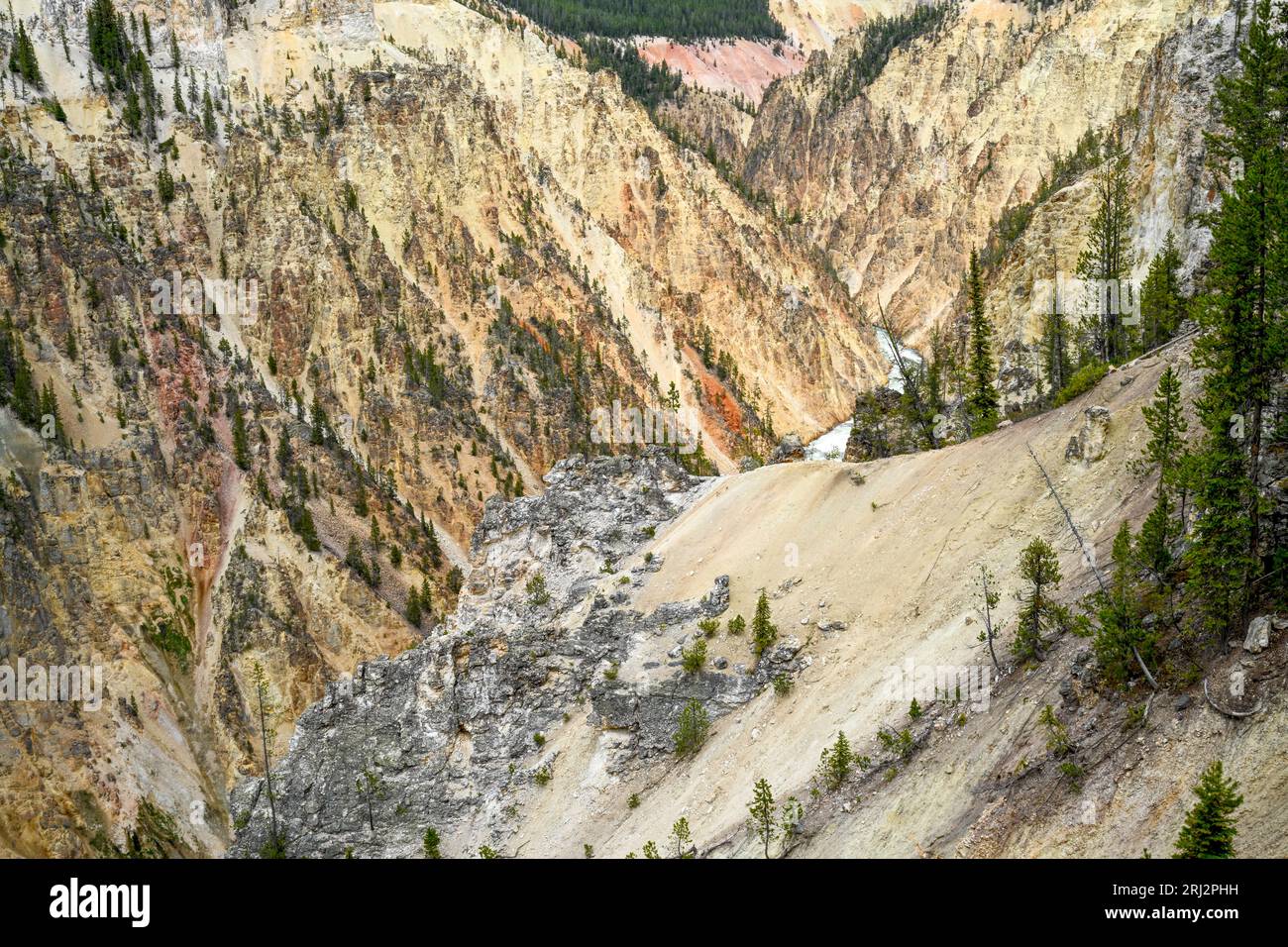 14.6.22. Yellowstone-Nationalpark. Lower Falls Trail. Stockfoto