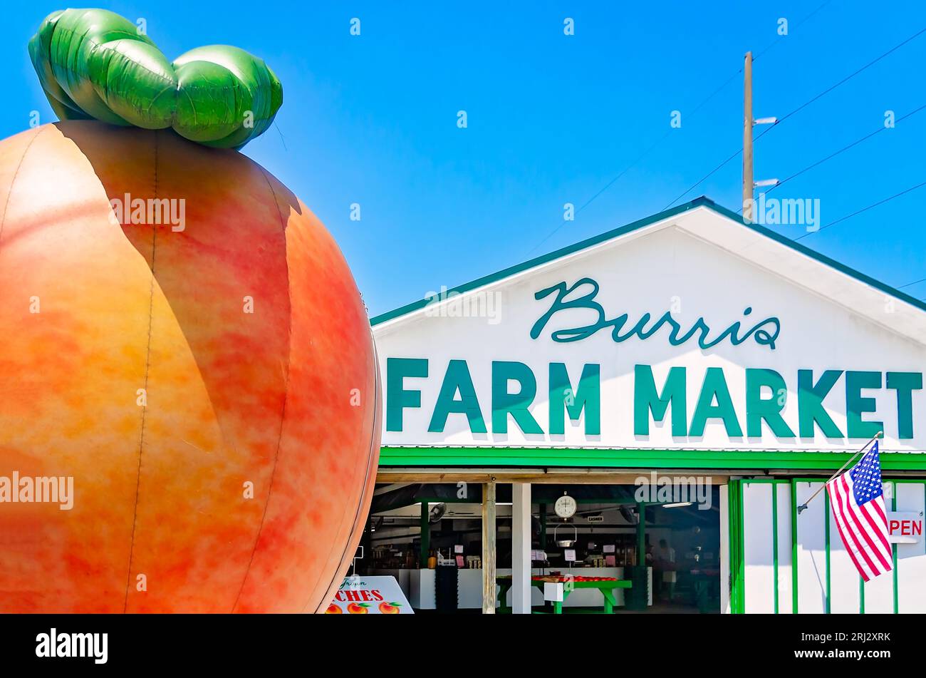 Ein riesiger Pfirsich steht vor dem Burris Farm Market, 19. August 2023, in Loxley, Alabama. Der Familienmarkt wurde 1984 eröffnet. Stockfoto
