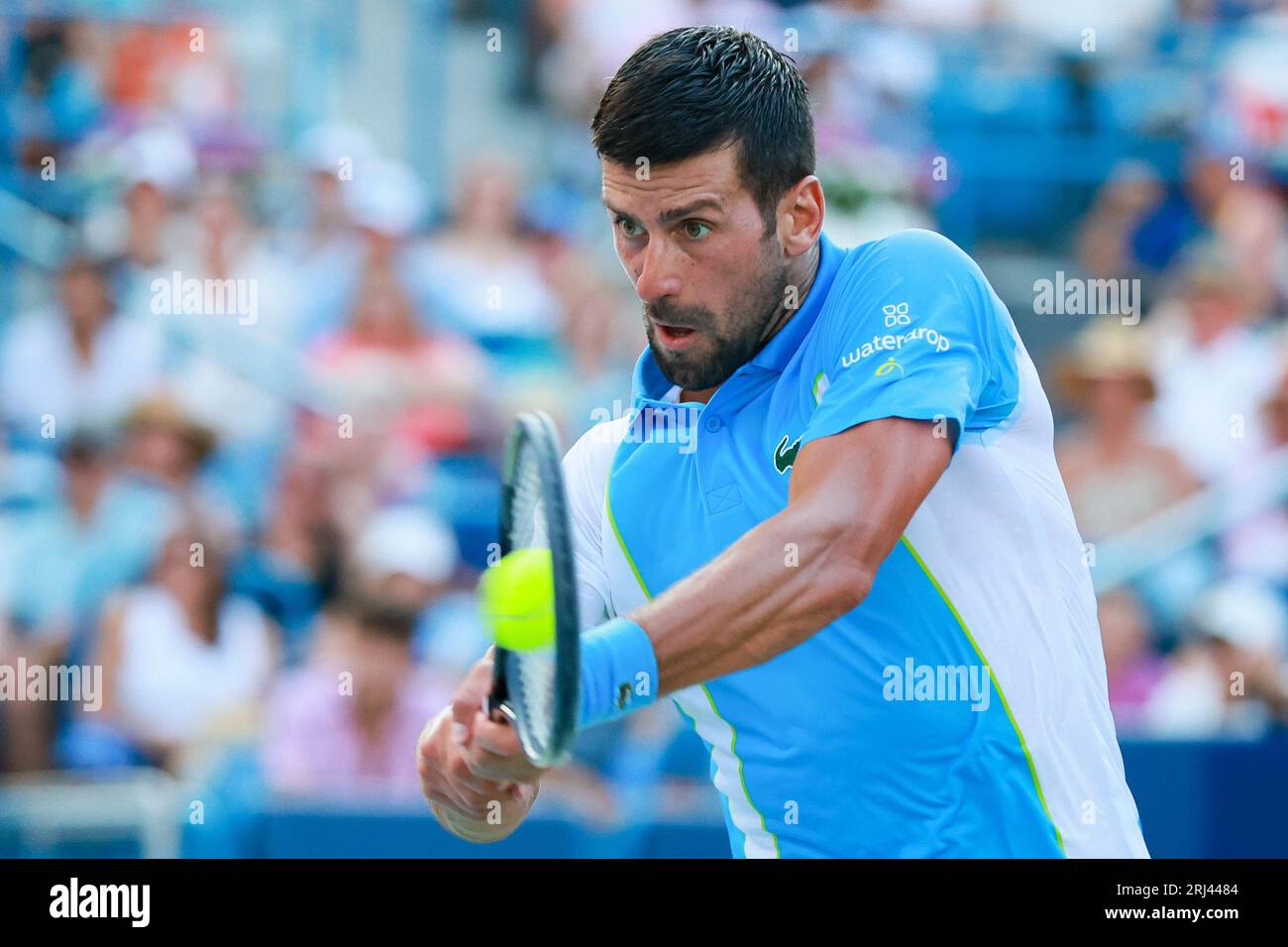 Mason, Ohio, USA. August 2023. Novak Djokovic (SRB) trifft in der finalen Runde der Western and Southern Open am Sonntag im Lindner Family Tennis Center, Mason, Oh, eine Zweihand-Rückhand. (Bild: © Scott Stuart/ZUMA Press Wire) NUR REDAKTIONELLE VERWENDUNG! Nicht für kommerzielle ZWECKE! Stockfoto