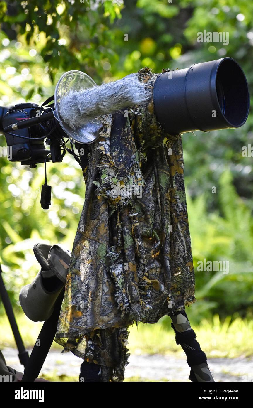Ein Fotograf richtet eine Tarnkamera in einer wilden Umgebung ein, die bereit ist, die Schönheit der Natur einzufangen Stockfoto