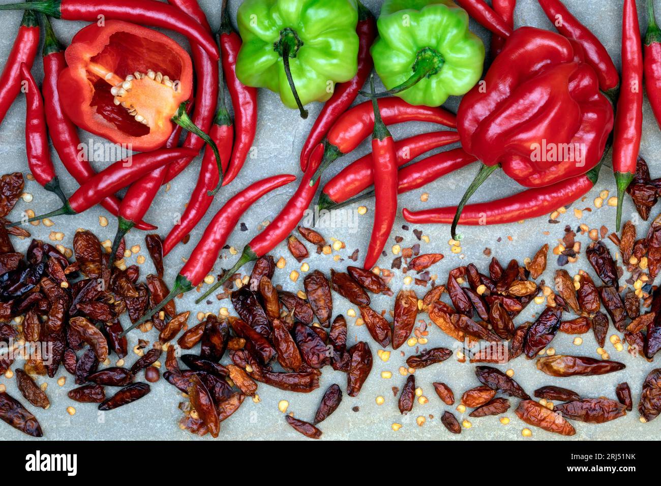 Frische und getrocknete Chilischoten - heiß und scharf Stockfoto