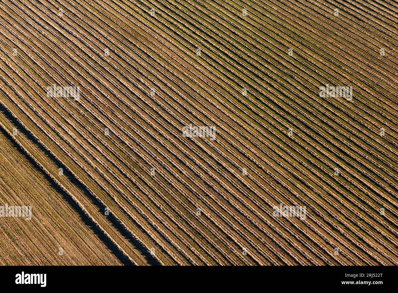 Kommerzieller Weizenanbau in Creston in der Region Kootenay im Südosten von British Columbia, Kanada Luftbildmuster Linien Stockfoto