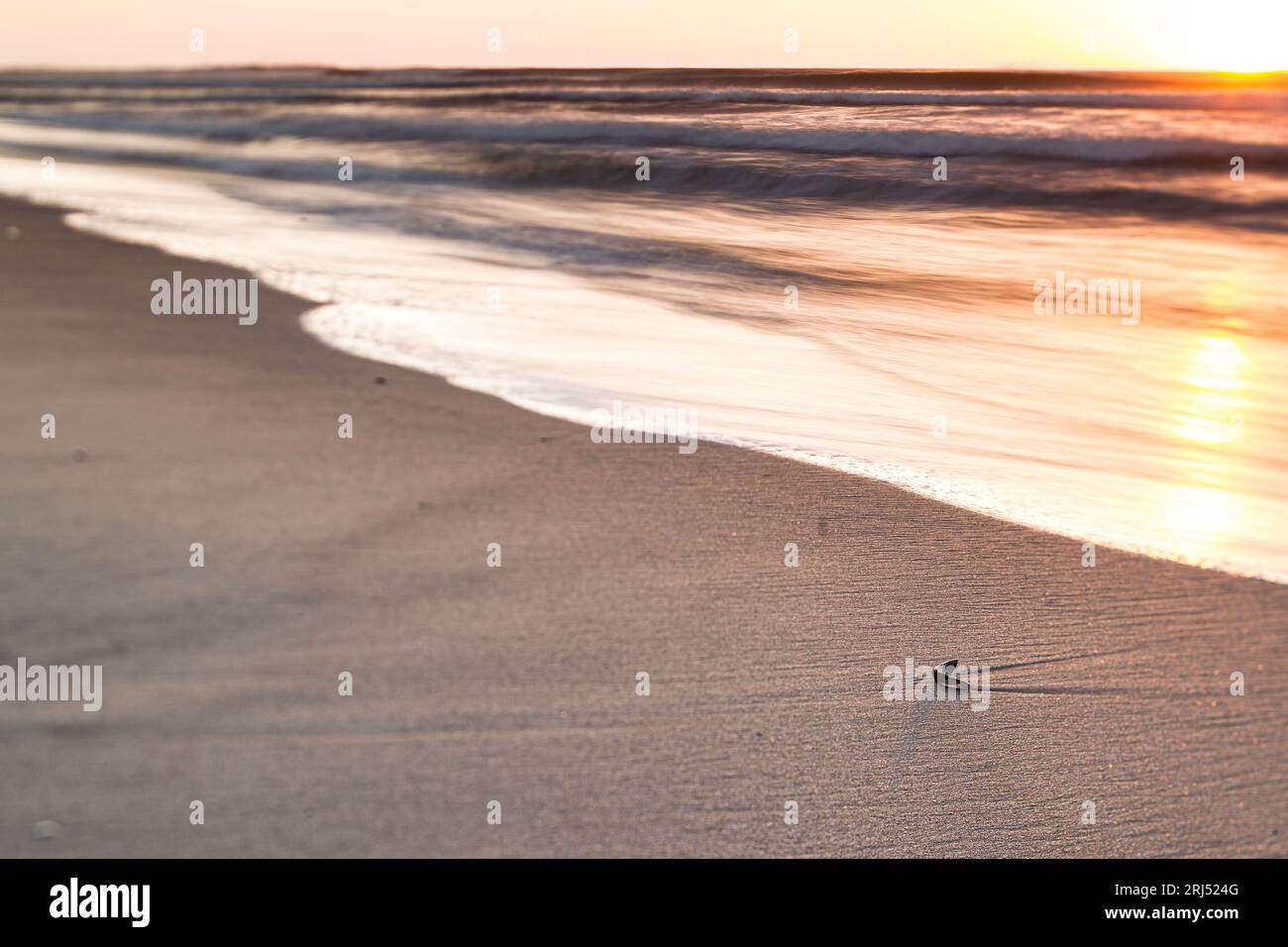 Reflexion am Strand bei Sonnenuntergang mit langsamen Verschlusszeiten, Landschaftsaufnahmen mit Neigeverschiebung Stockfoto