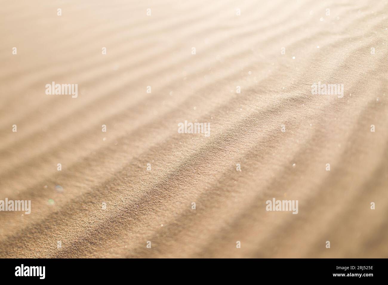 Goldene Sanddünen abstrakt Namib Wüste Skeleton Coast Südafrika Stockfoto