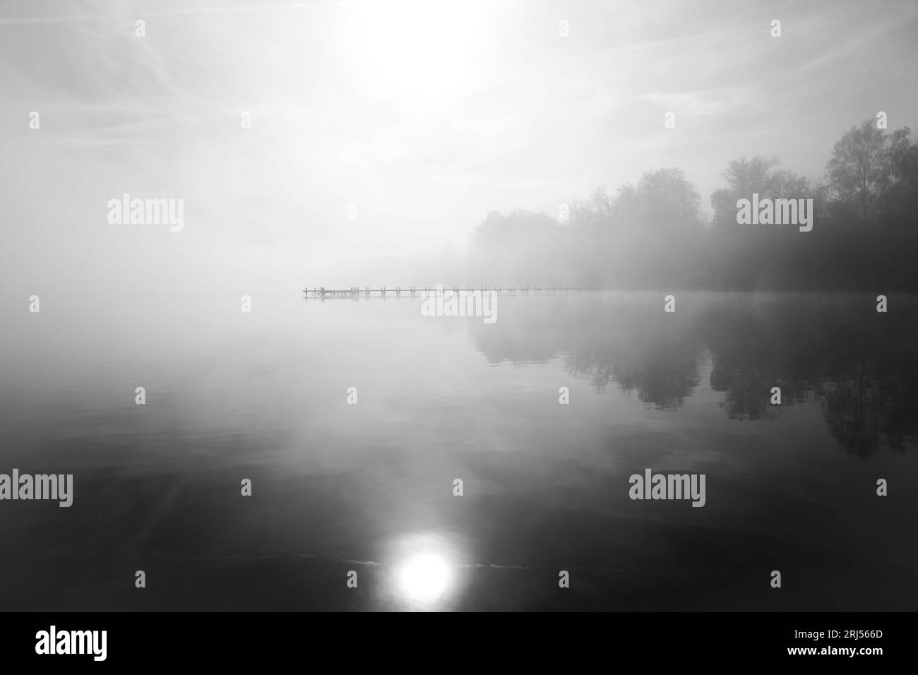 Steg am See im Nebel. Nebelhafte Landschaft am Morgen. Idyllische Natur am Wasser. Erholung und Entspannung. Stockfoto