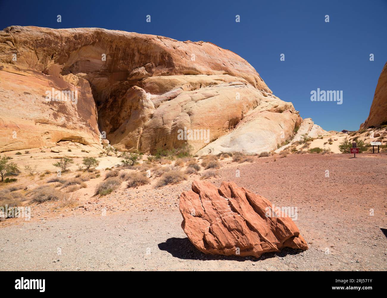 Am White Domes Trail, Valley of Fire State Park, Nevada, USA Stockfoto