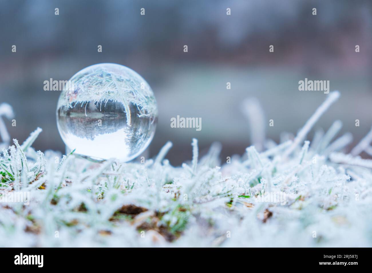 Kristallkugel gefrorener Natur. Winterhintergrund. Stockfoto