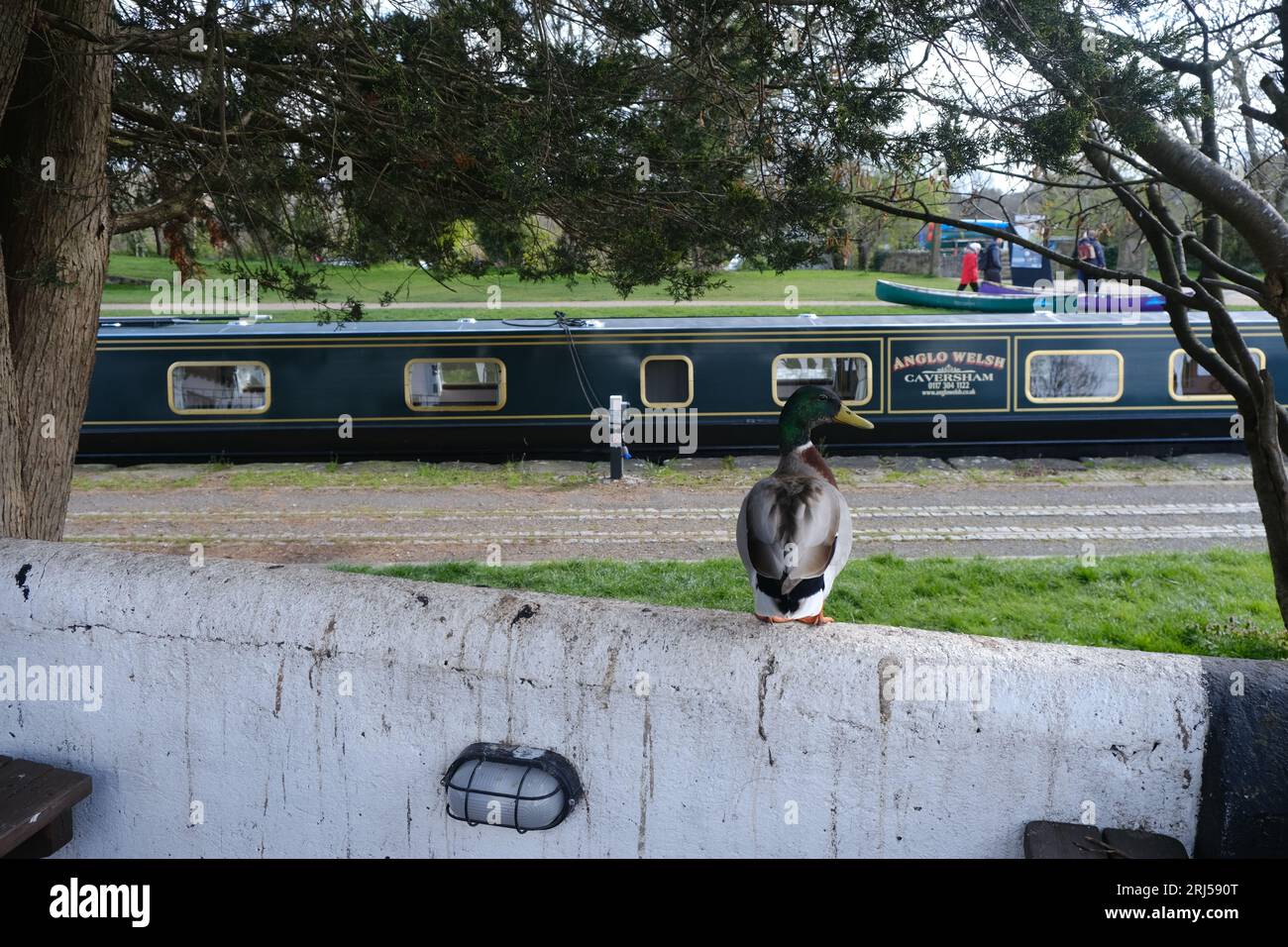 Pontcysyllte Aquädukt Stockfoto