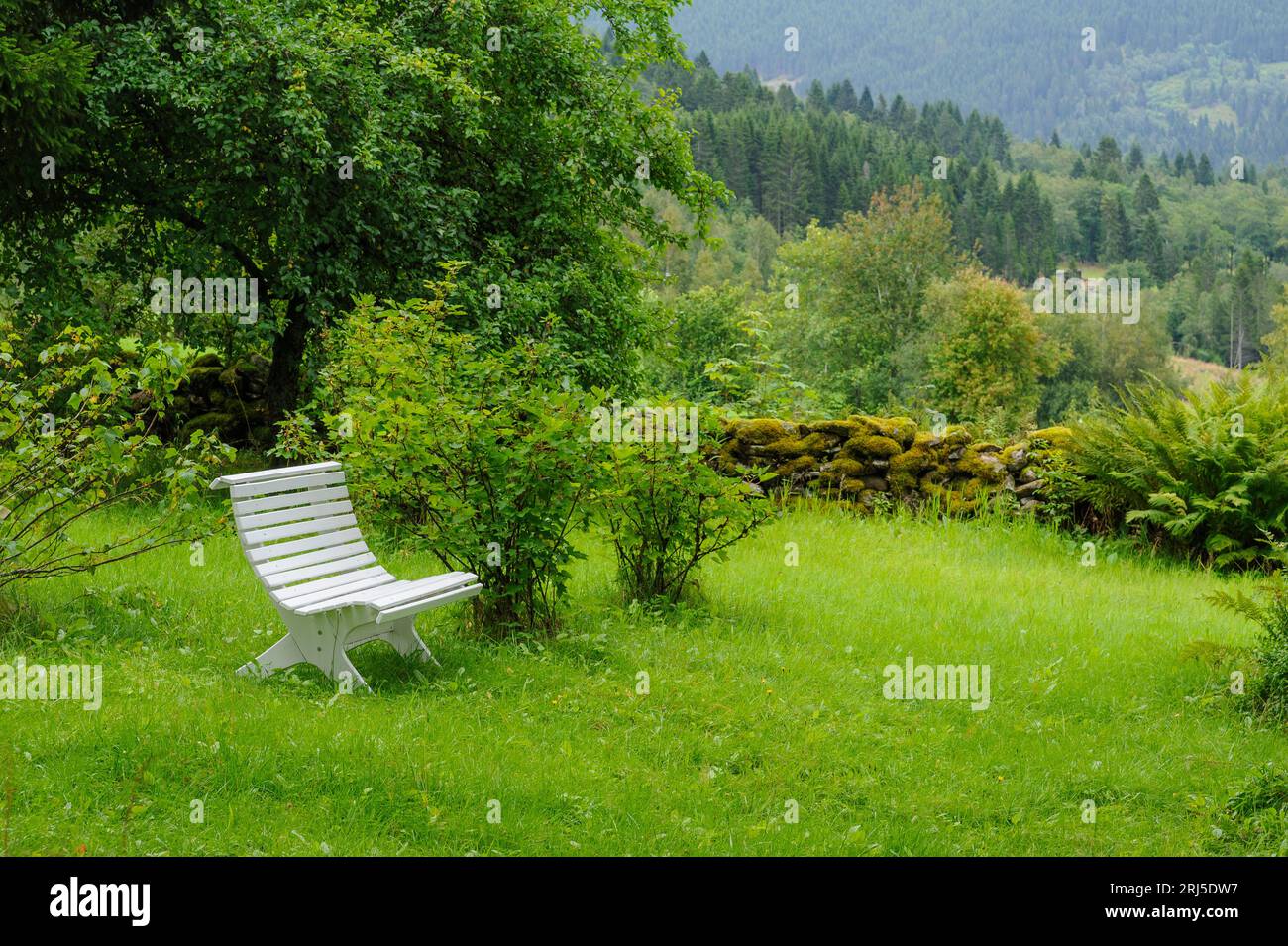 Eine einsame weiße Bank liegt auf üppigem grünem Gras und bietet einen ruhigen Ort inmitten von Bäumen und Hügeln unter bewölktem Himmel. Stockfoto