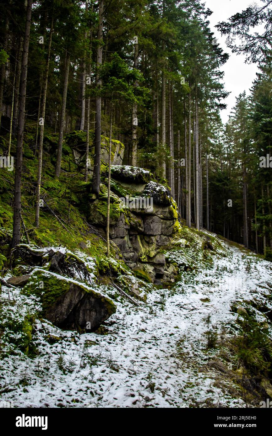 Verlassener Nadelwald Mit Massiven Granitfelsen In Niederösterreich (Waldviertel) In Österreich Stockfoto