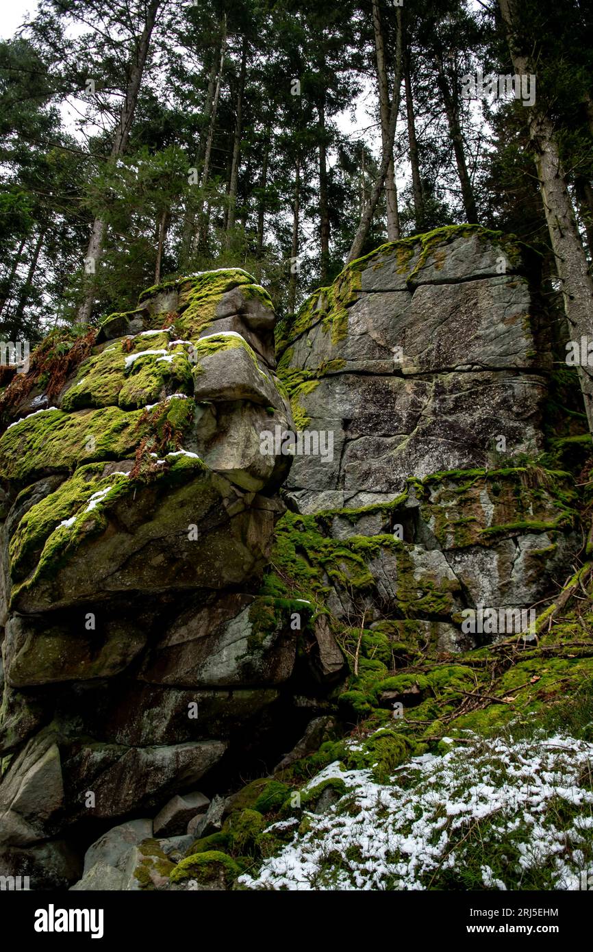 Verlassener Nadelwald Mit Massiven Granitfelsen In Niederösterreich (Waldviertel) In Österreich Stockfoto