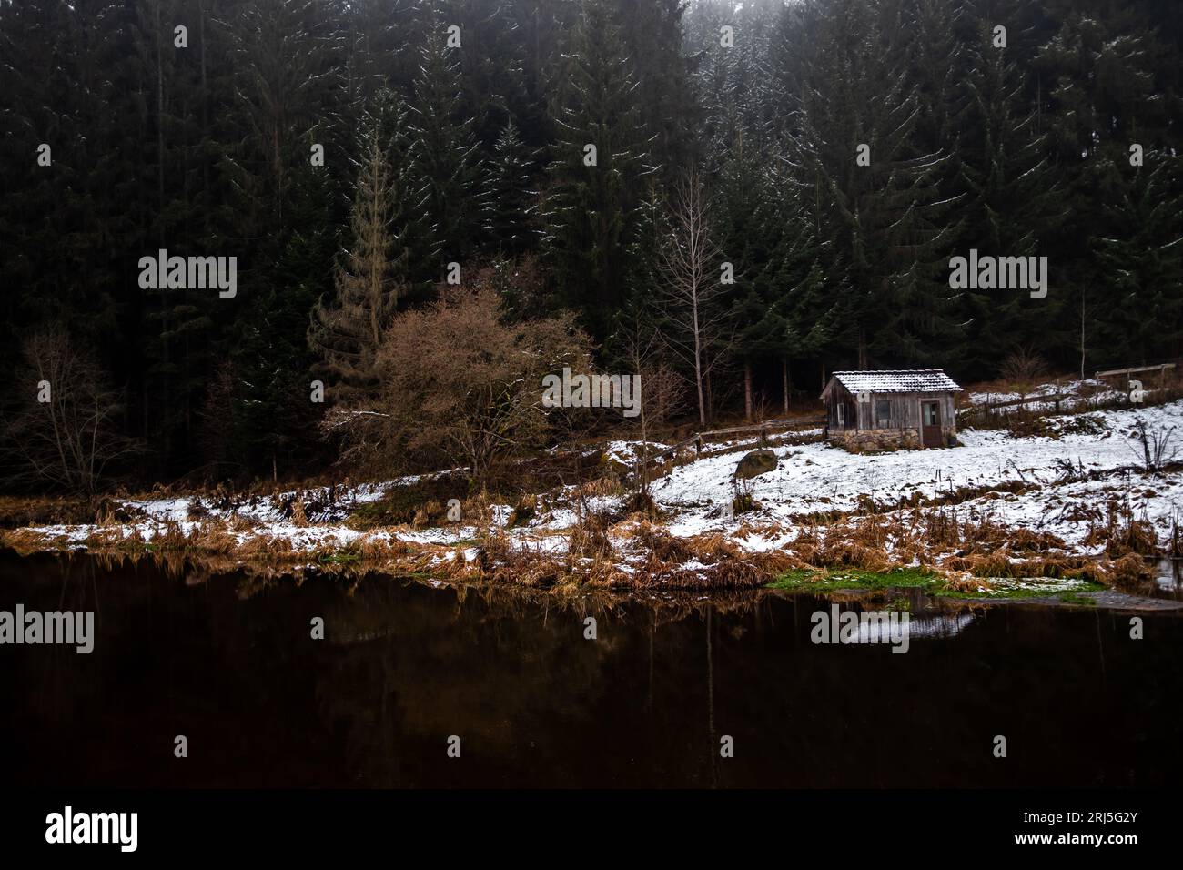 Altes Haus Am Ufer Des Kamp Und Nebelwaldes In Niederösterreich (Waldviertel) In Österreich Stockfoto