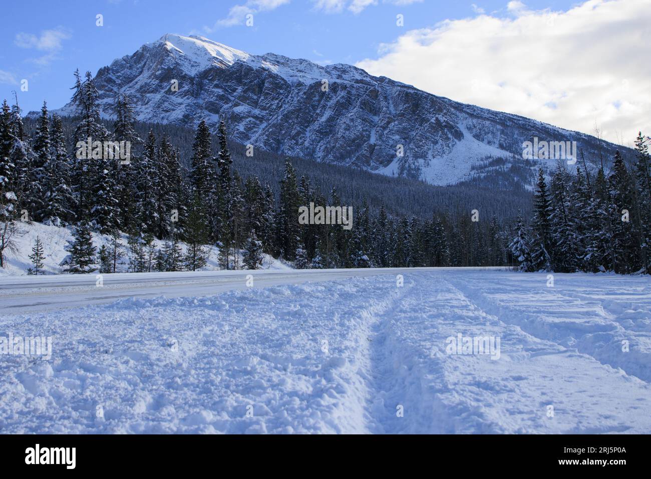 Eine Winterlandschaft mit unberührtem Schnee auf Tannenwäldern und Bergen Stockfoto