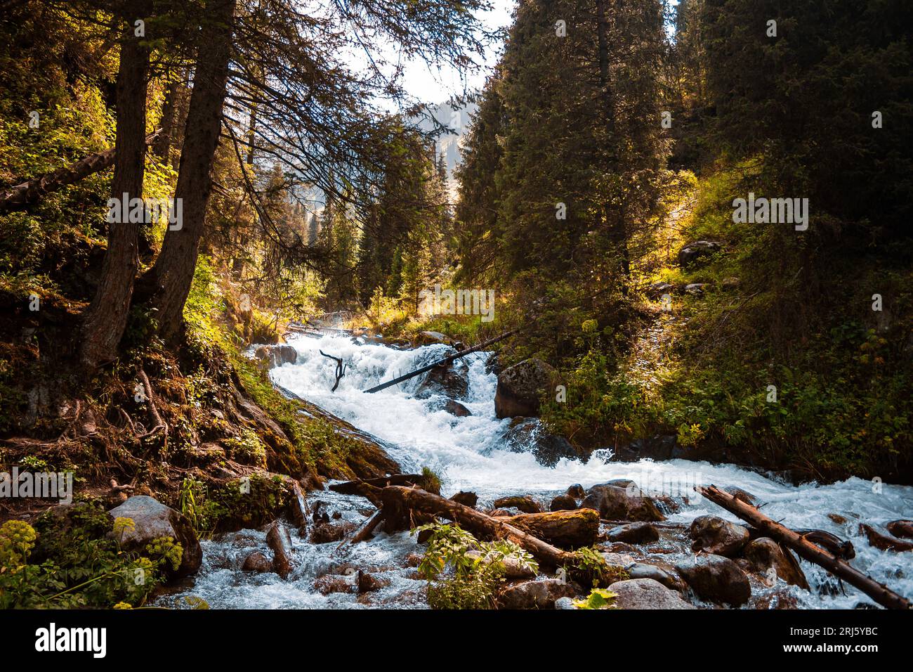 Gebirgsfluss in Kasachstan, Almaty Stockfoto