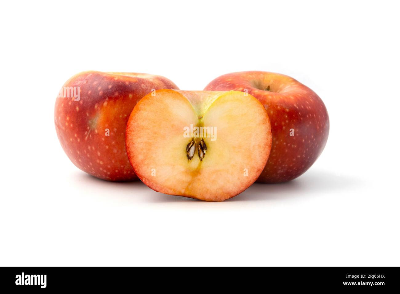 Rosa Fruchtapfel (var. Abbondanza Rossa) auf weißem Hintergrund Stockfoto